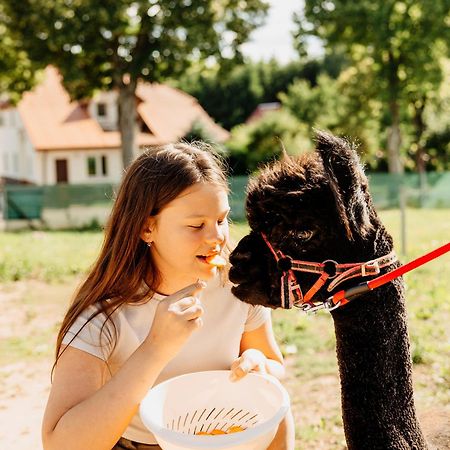 Gospodarstwo Agroturystyczne Z Basenem & Spa I Alpakami Елк Екстер'єр фото